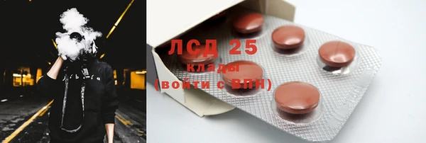 сатива Мегион