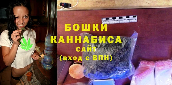 сатива Мегион