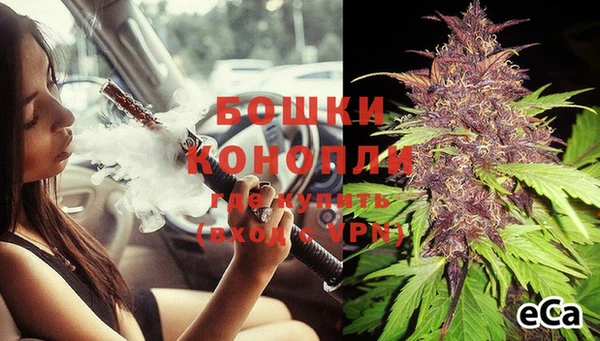 спайс Михайлов