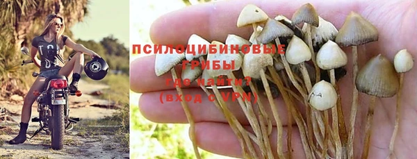 а пвп мука Медвежьегорск