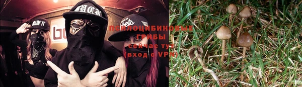 таблы Медногорск