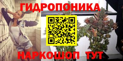 прущие крисы Балаково