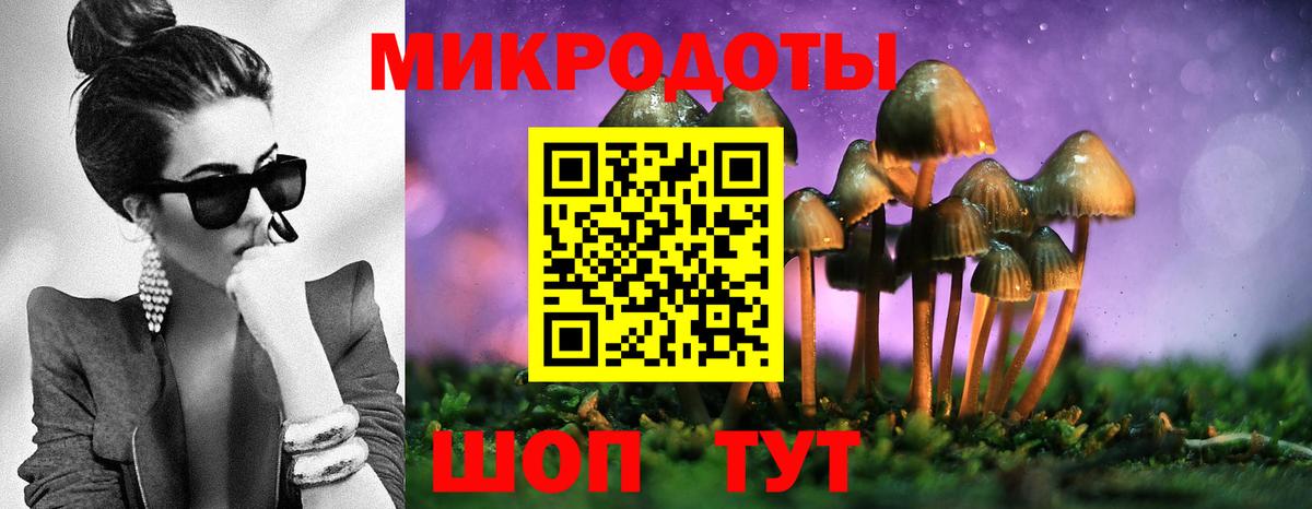 Псилоцибиновые грибы Cubensis Канаш