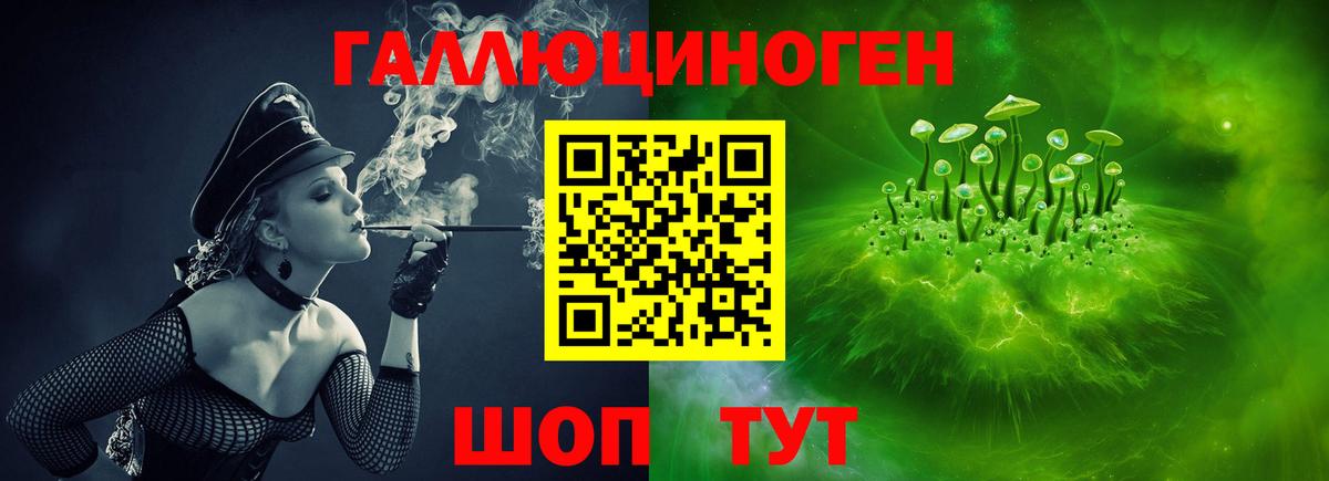 Псилоцибиновые грибы прущие грибы  Вход с VPN  Псилоцибиновые грибы мицелий  Канаш 